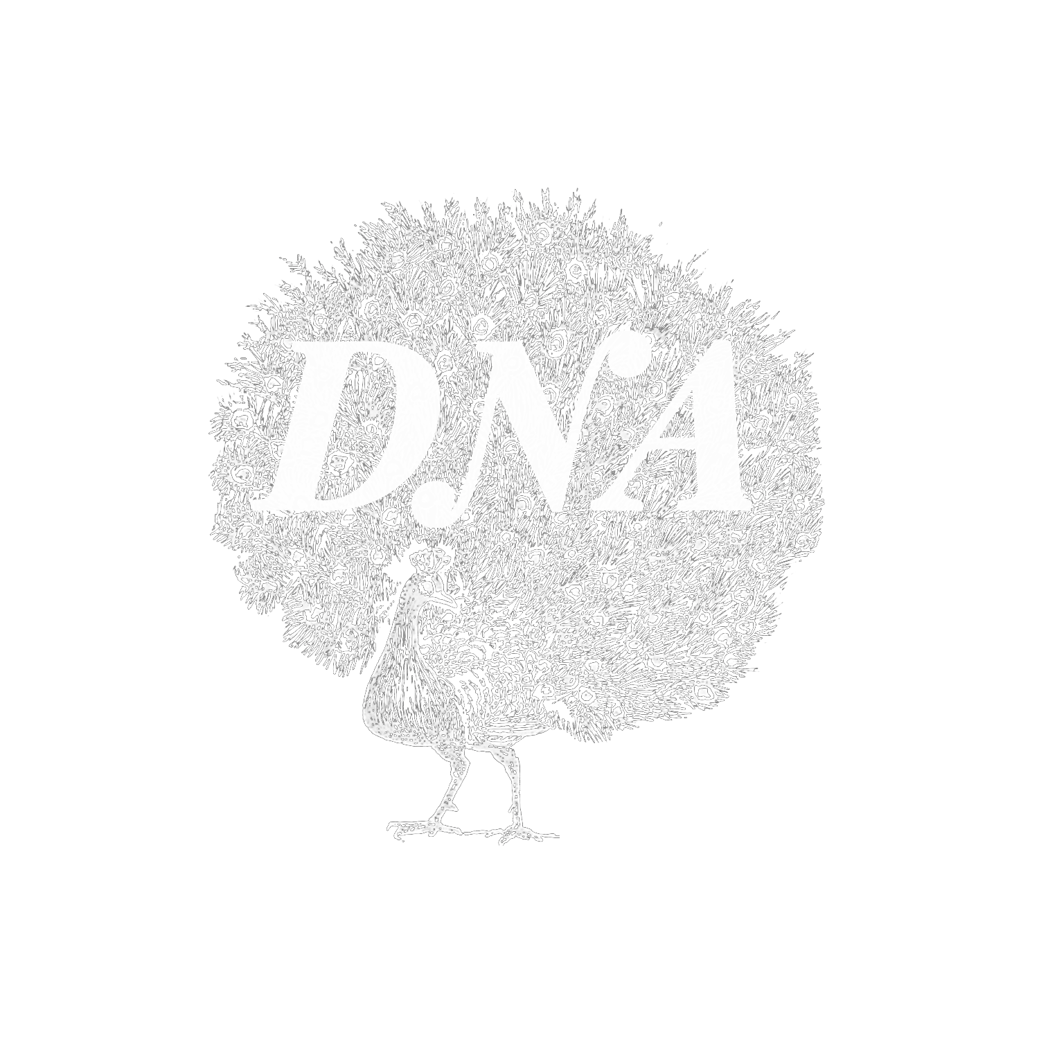 DNA Peacock Transparent PNG-EYE